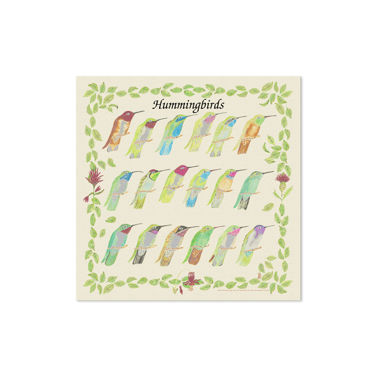 Hummingbirds Bandana