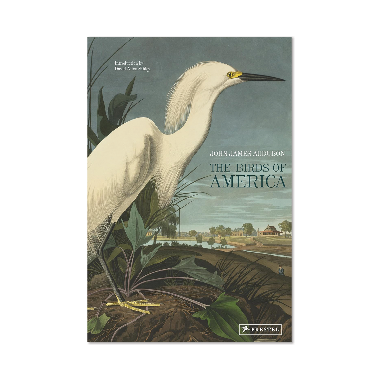 The Birds of America by John James Audubon