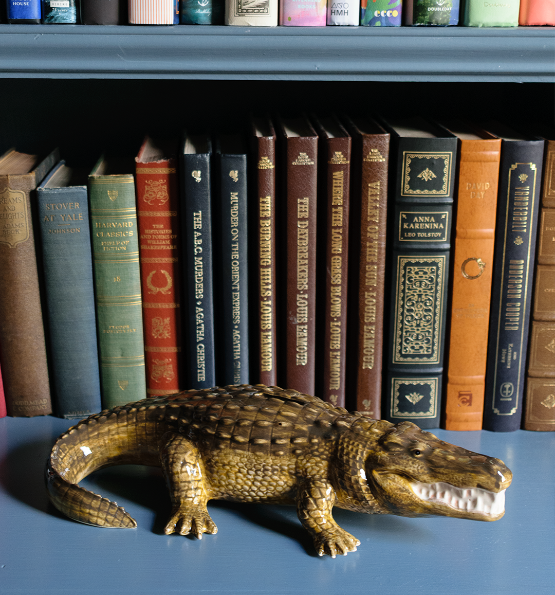 Alligator Bank