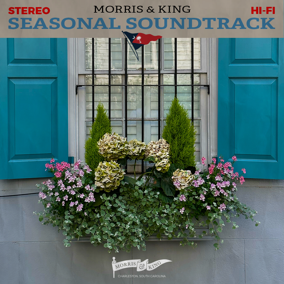 Seasonal Soundtrack: Spring / Summer '23 Pt. 2