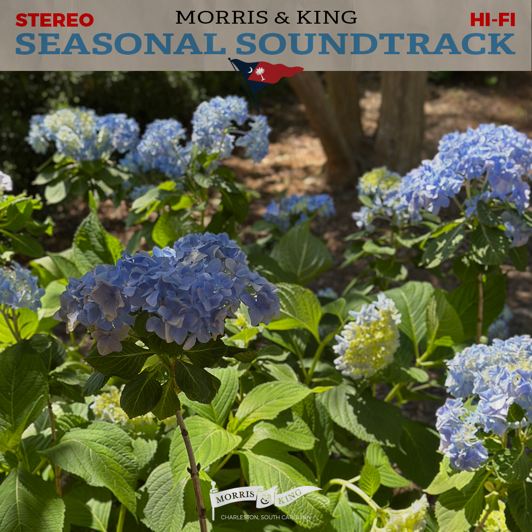 Seasonal Soundtrack: Spring / Summer '26 Pt. 1