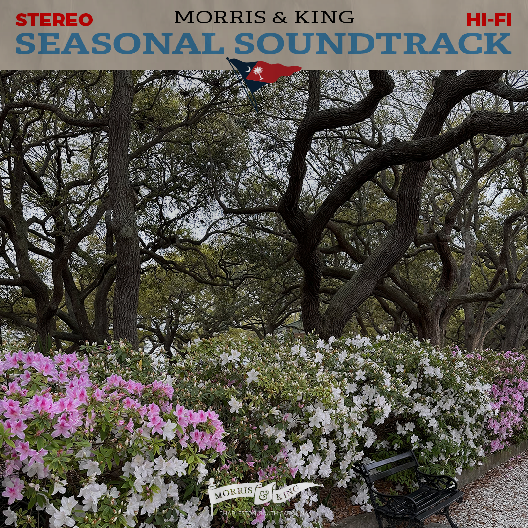 Seasonal Soundtrack: Spring / Summer '26 Pt. 2