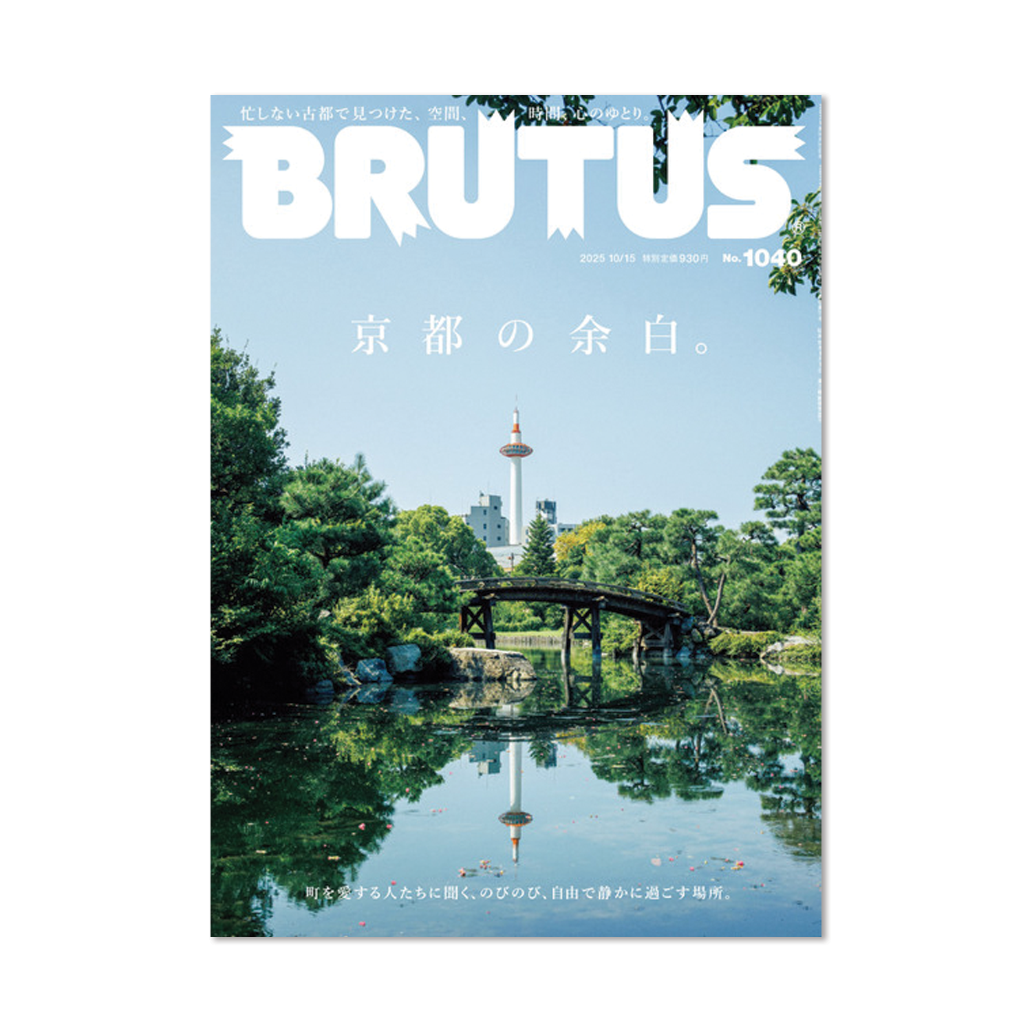 Issue #1040