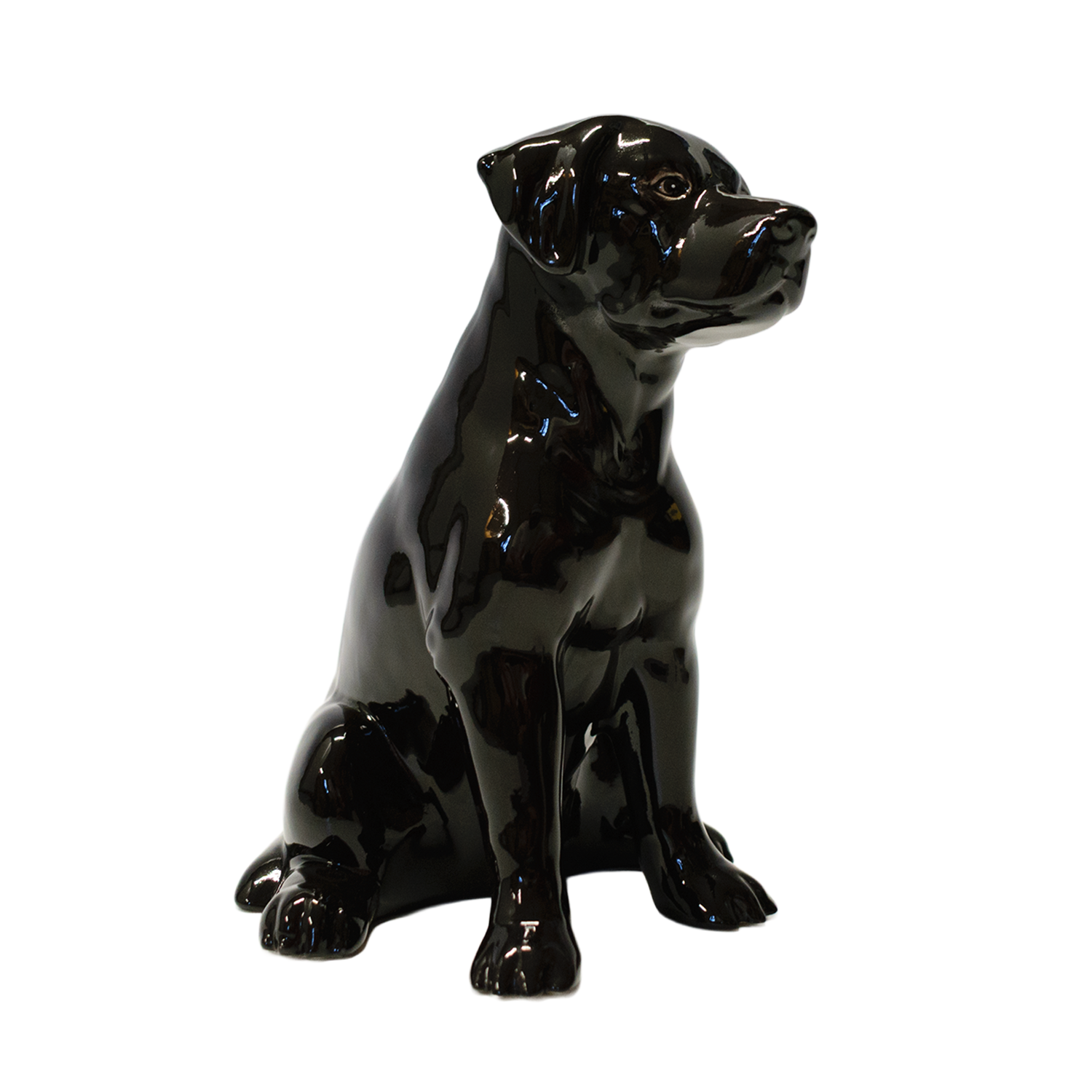 Black Lab Bank