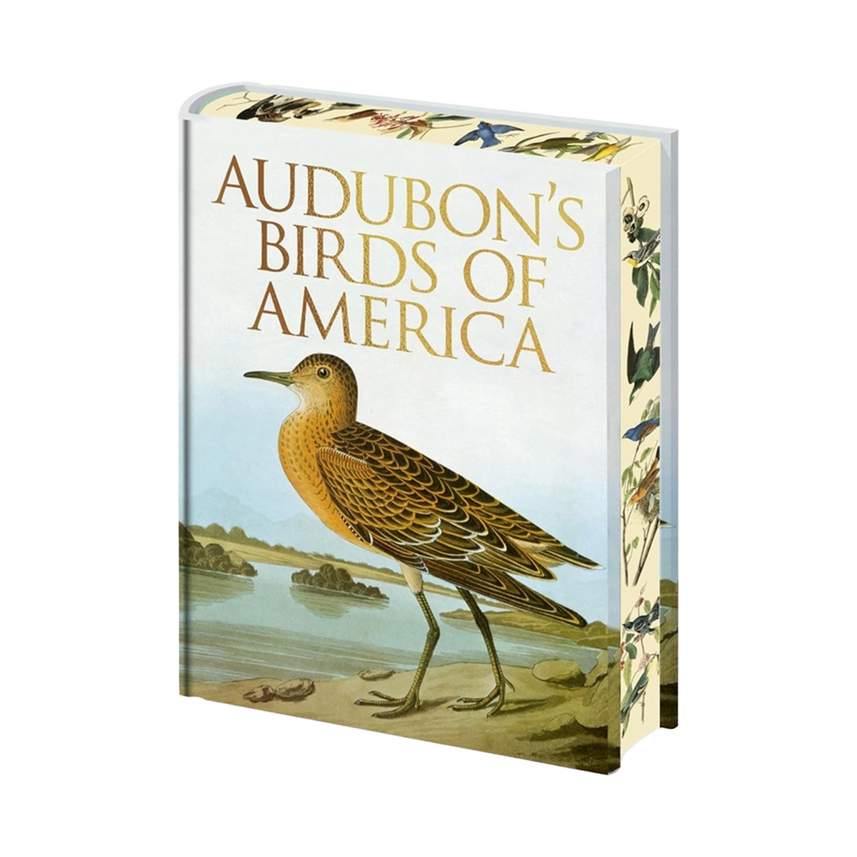 The Birds of America by John James Audubon