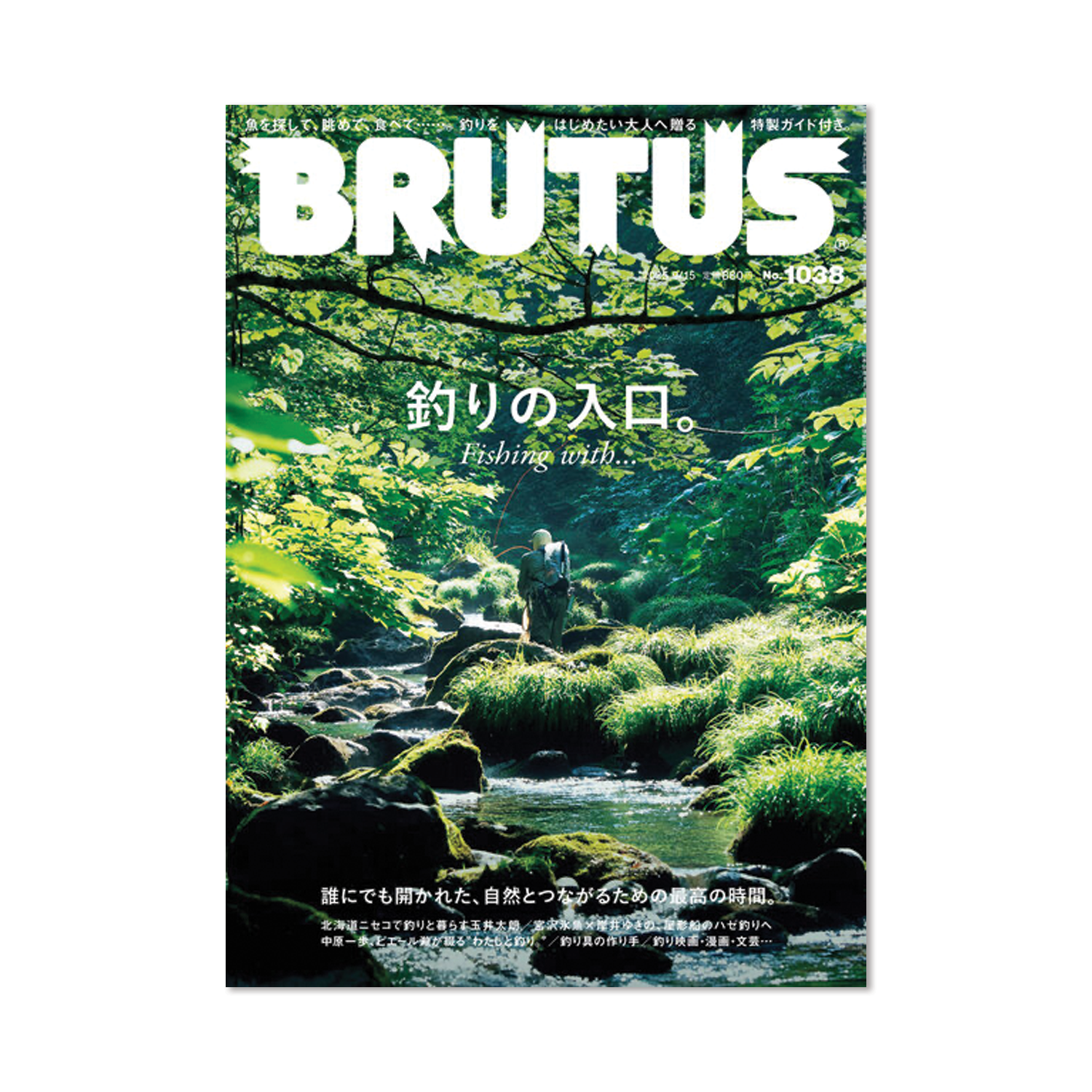 Issue #1038