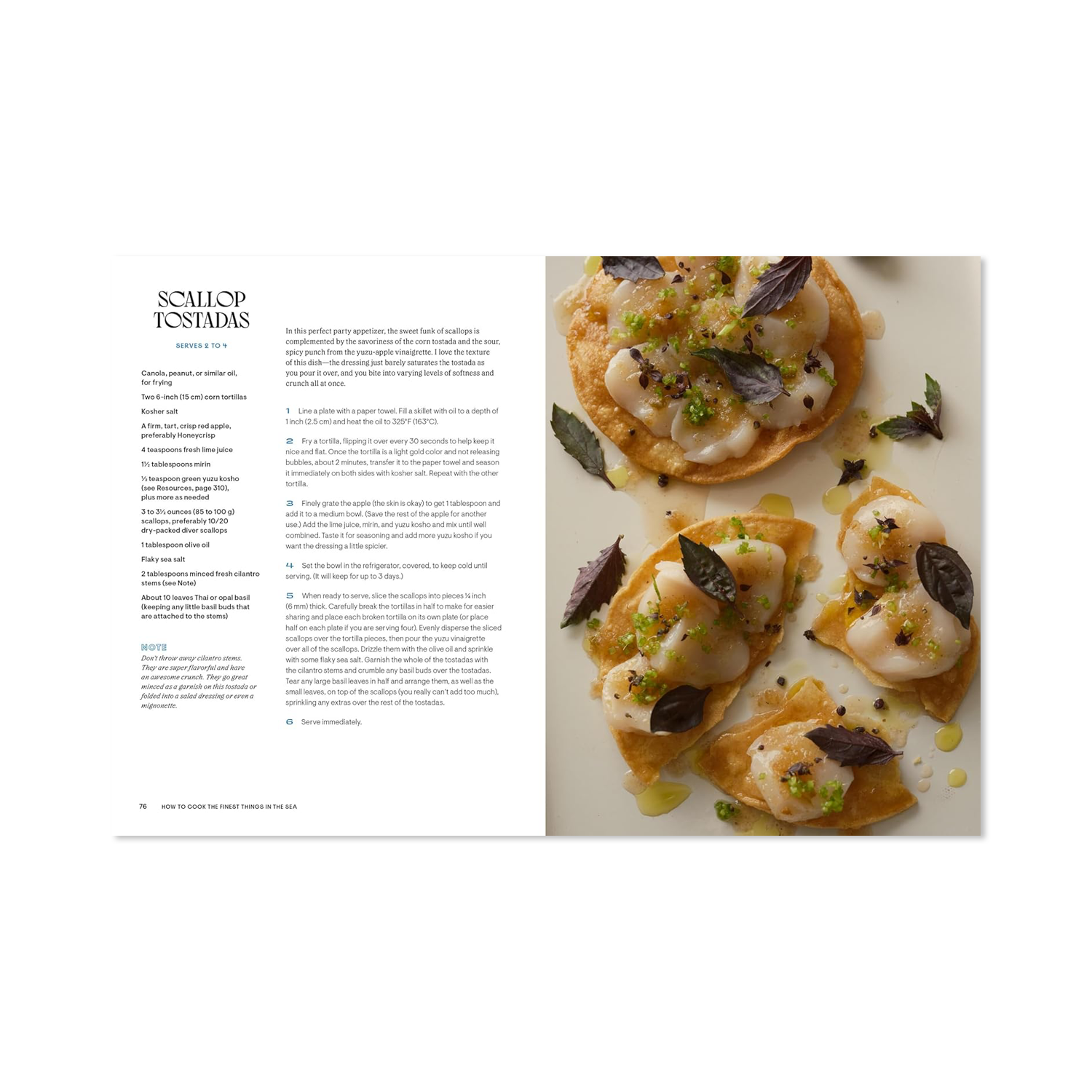 How to Cook the Finest Things in the Sea by Ari Kolender