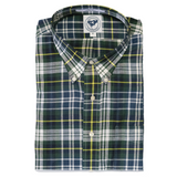Morris & King Blue / Green Madras Button Down Shirt - Classic Fit