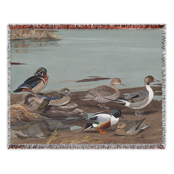 Panel 14 (1921) Woven Blanket