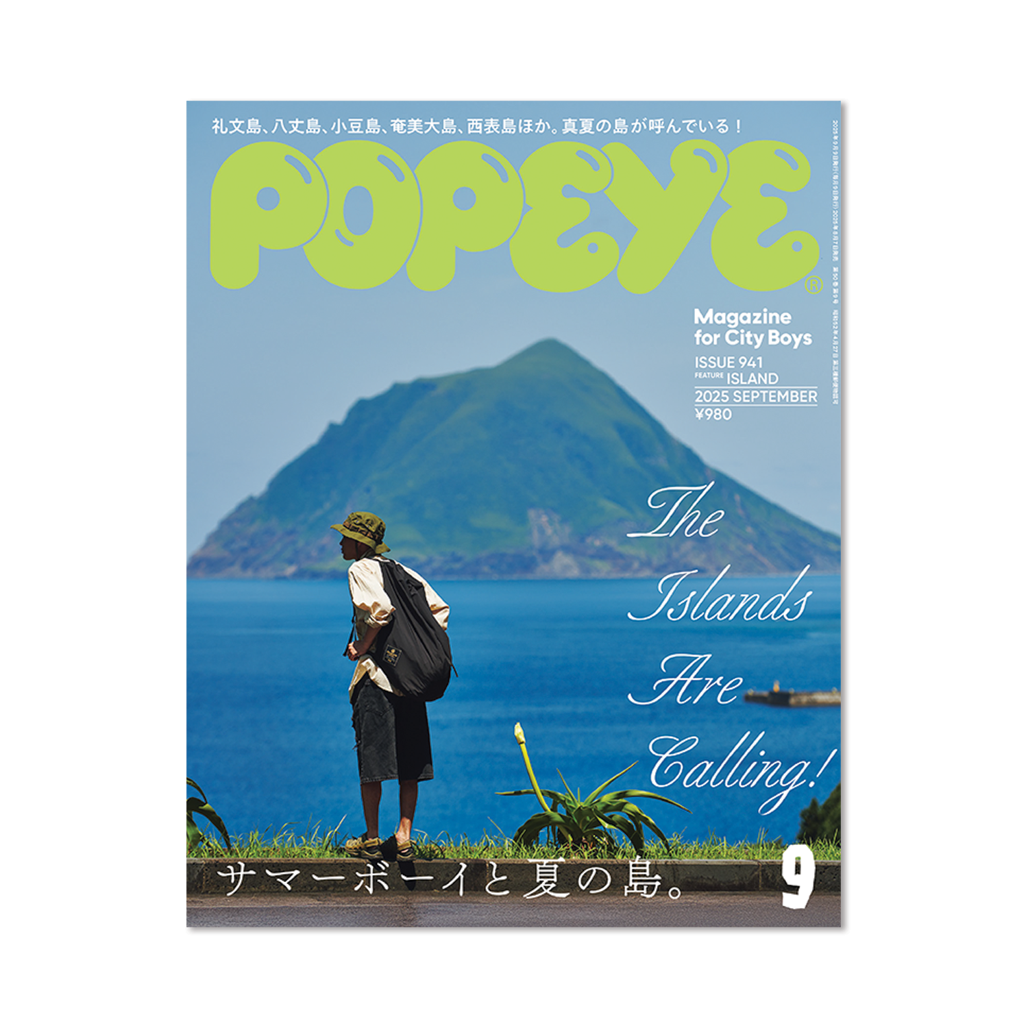Issue #941