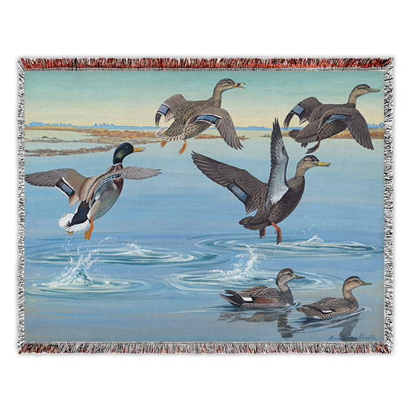 Panel 12 (1921) Woven Blanket