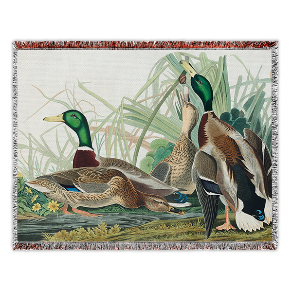 Mallard Duck (1834) Woven Blanket