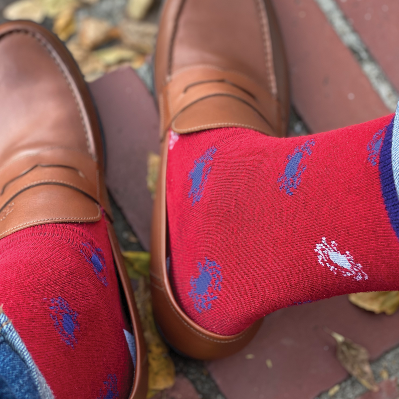 East Coast Fun Socks