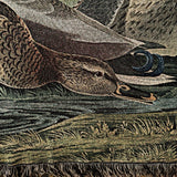 Mallard Duck (1834) Woven Blanket