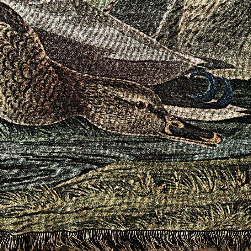 Birds of America (1827) Woven Blanket